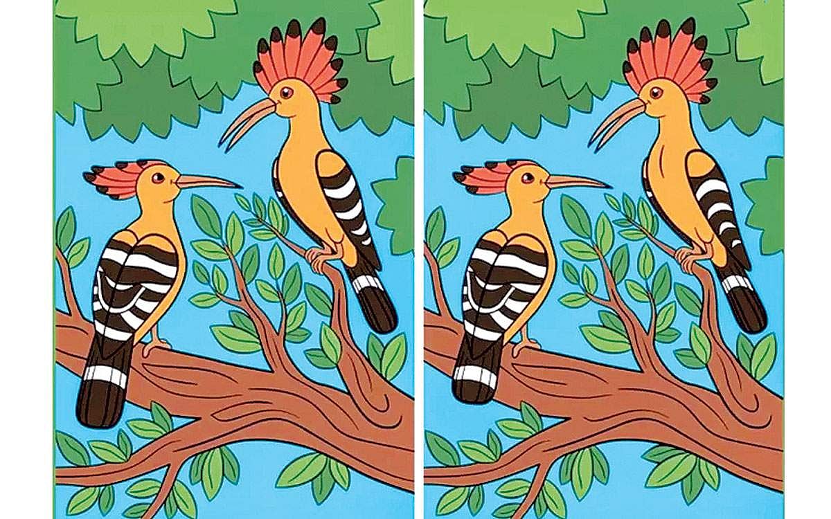 கண்டுபிடி கண்ணே!