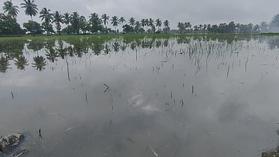 கேரளத்தில் வெளுத்துவாங்கும் மழை: மக்களுக்கு எச்சரிக்கை