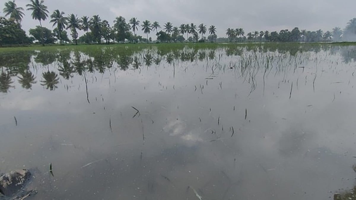 கேரளத்தில் வெளுத்துவாங்கும் மழை: மக்களுக்கு எச்சரிக்கை