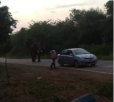 ஒகேனக்கல் வனப்பகுதியில் ஒற்றை யானையை துன்புறுத்தும் சுற்றுலாப் பயணிகள்