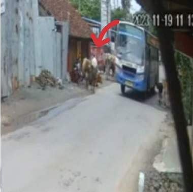 மாடு முட்டி சாலையில் நடந்து சென்றவர் அரசுப் பேருந்து சக்கரத்தில் சிக்கி பலி 