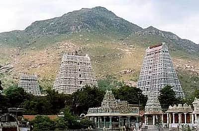 கார்த்திகை தீப விழா: வழிகாட்டு நெறிமுறைகள் வெளியீடு!