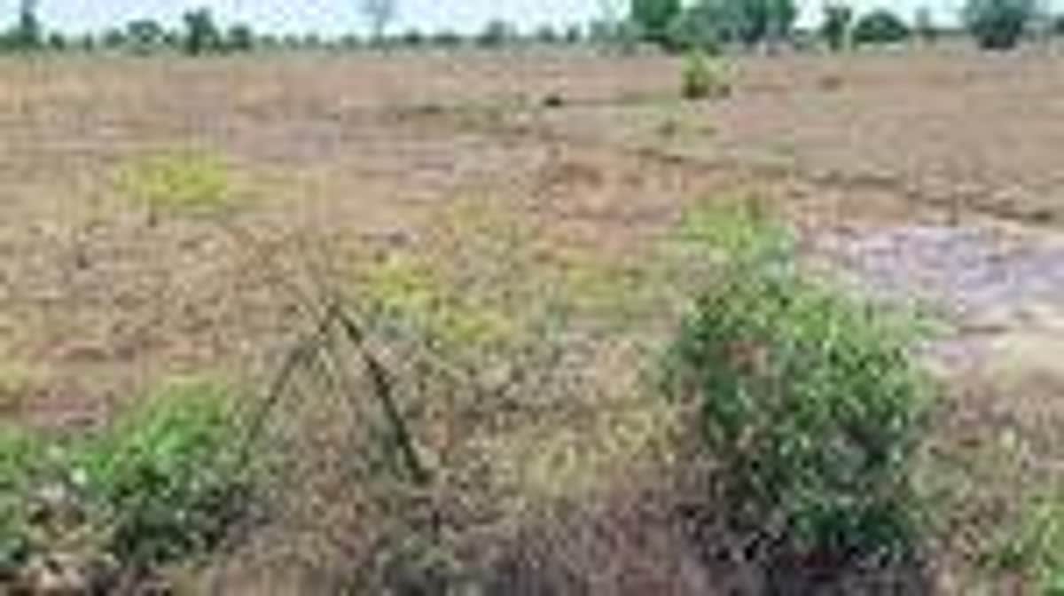 14 ஆண்டுகளாகக் கிடப்பில் பெரம்பலூா் சிறப்புப் பொருளாதார மண்டலத் திட்டம்