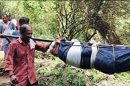 அவசர சிகிச்சை கிடைக்காததால் அவதிப்படும் மலைக் கிராம மக்கள்! தொன்னகுட்டஅள்ளி துணை சுகாதார நிலையத்தை மேம்படுத்த வலியுறுத்தல்
