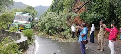 மேட்டுப்பாளையம் - உதகை சாலையில் போக்குவரத்து துண்டிப்பு!