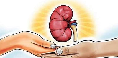 மாற்றில் தேவை மாற்றம்!- உறுப்பு தானம் குறித்து வெளியான ஆய்வுக் கட்டுரை பற்றிய தலையங்கம்