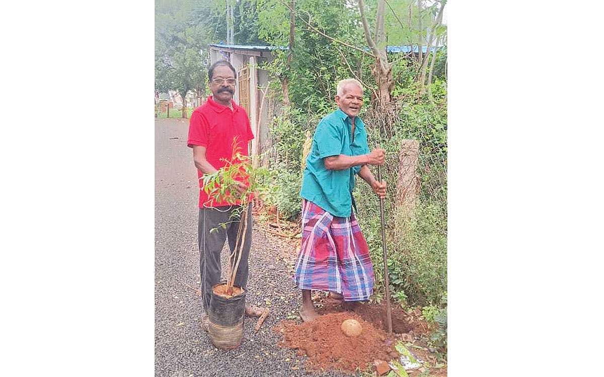 மரங்களை வளர்த்தாலே...