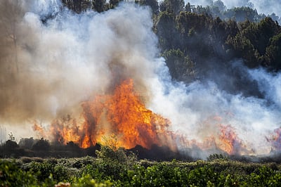 ஸ்பெயினில் காட்டுத்தீ: 4900 ஏக்கர் நிலங்கள் சேதம்