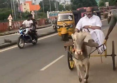 திமுகவை கண்டித்து மாட்டு வண்டியில் சென்ற ஜெயக்குமார்! வைரல் விடியோ