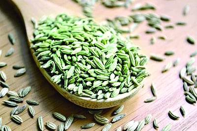 ஆயுள் காக்கும் ஆயுர்வேதம்: சிறுநீர்த்  தடைக்கு தீர்வு என்ன?