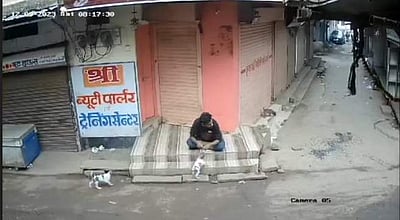 நாய்க் குட்டியை கொடூரமாகக் கொல்லும் காணொலி, முதல்வர் கண்டனம்!