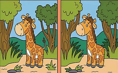 கண்டுபிடி  கண்ணே!