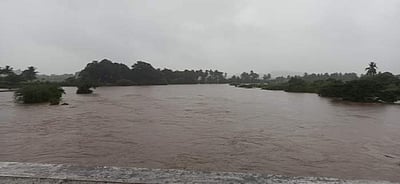 வெள்ளக்காடாக மாறிய கிராமங்கள்... பாப்பாக்குடி வெள்ளத்தில் சிக்கி ஒருவர் பலி