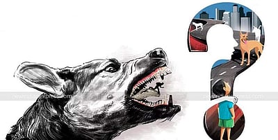 கர்நாடகம்: வெறிநாய் கடித்ததில் 25 பேர் காயம்; 4 பேரின் நிலைமை கவலைக்கிடம்