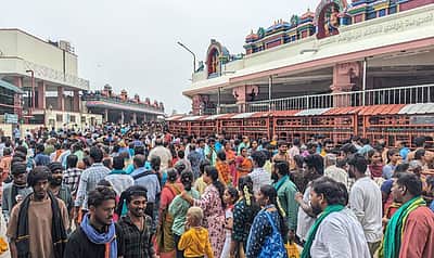பழனி முருகன் கோயிலில் 3 நாள்களுக்கு கட்டண தரிசனம் ரத்து!