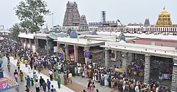 பழனி தண்டாயுதபாணி சுவாமி கோயிலில் தமிழ்ப் புத்தாண்டு பிறப்பு சிறப்பு வழிபாடு