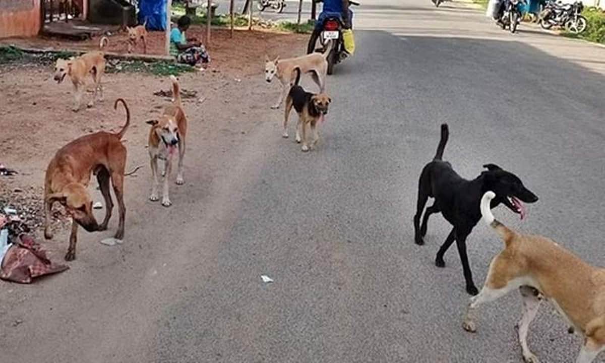 நடமாட முடியவில்லை!