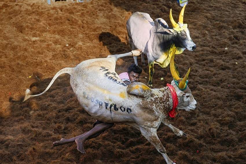 2023- கோலாகலமாகக் கொண்டாடப்பட்ட பண்டிகைகள்