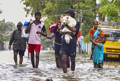 டிச. 30, 31-ல் நெல்லை, தூத்துக்குடியில் கனமழை பெய்யும்!