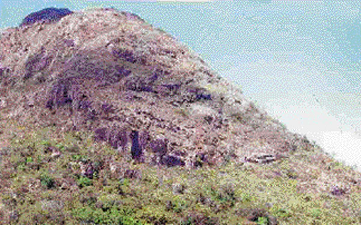 மலைவளம் காப்போம்