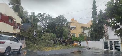 மழை பாதித்த இடங்களில் நடமாடும் மருத்துவ முகாம்கள்!