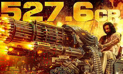 ரூ.500 கோடி வசூலித்தது அனிமல்!