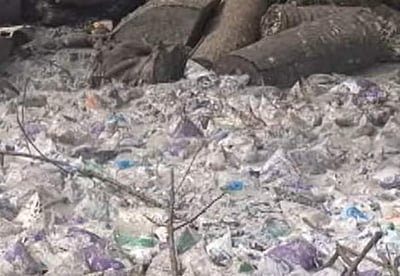 தாம்பரம் கால்வாயில் ஆயிரக்கணக்கான ஆவின் பால் பாக்கெட்கள்:மக்கள் அதிர்ச்சி