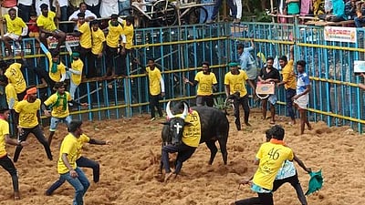 மணப்பாறை: என்.பூலாம்பட்டியில் களைகட்டிய ஜல்லிக்கட்டு!