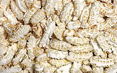 ஆயுள் காக்கும் ஆயுர்வேதம்: நெல் பொறியின் மருத்துவக் குணங்கள் என்ன?