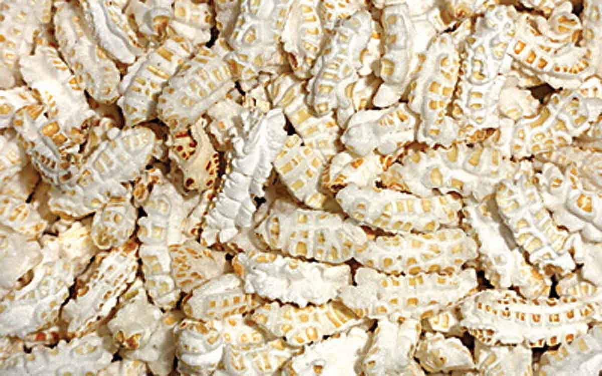 ஆயுள் காக்கும் ஆயுர்வேதம்: நெல் பொறியின் மருத்துவக் குணங்கள் என்ன?