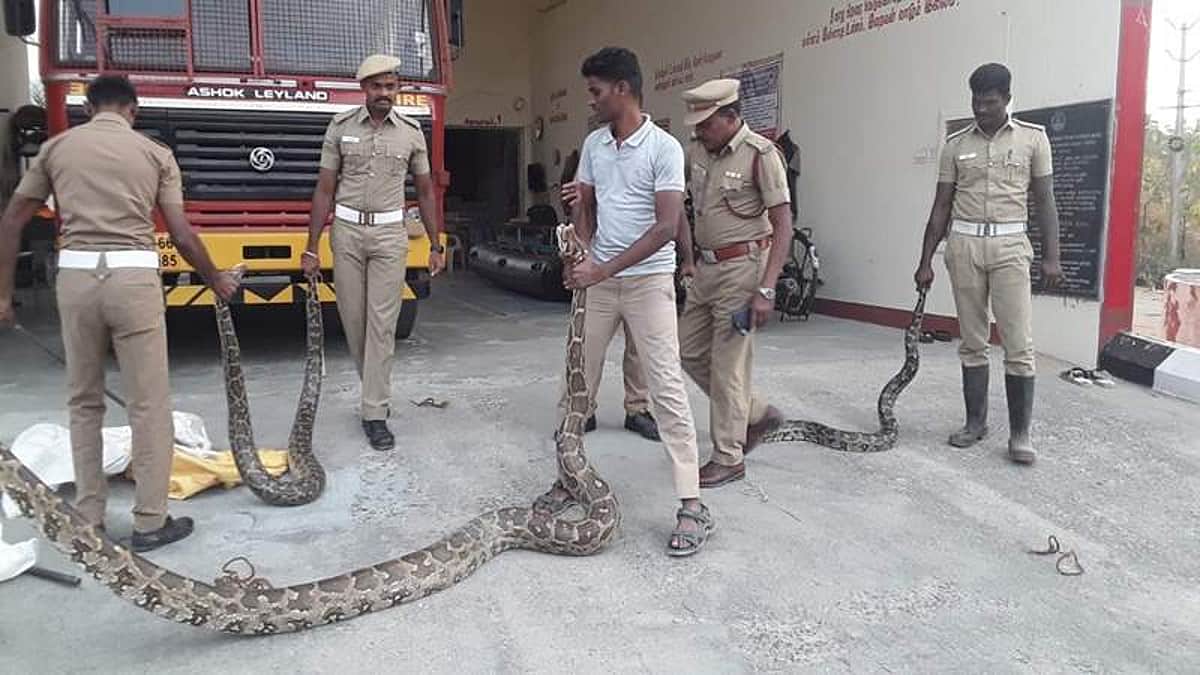 News image