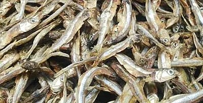 நாட்டிலேயே முதன்முறையாக ரயில் நிலையத்தில் கருவாடு விற்பனையகம்: எங்கு தெரியுமா?