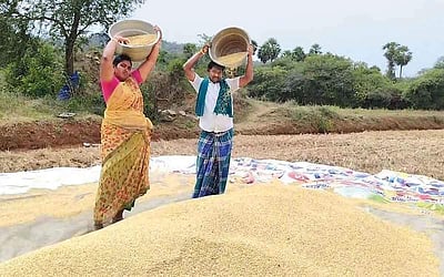 சாதனை விவசாயி!