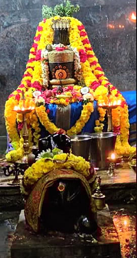 மகா சிவராத்திரி! வீட்டிலிருந்தே என்ன செய்யலாம்?