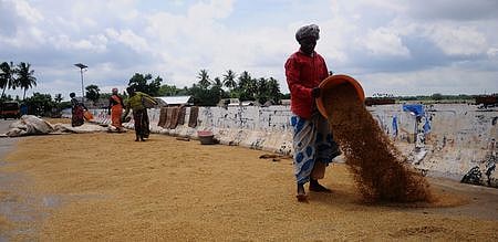 நெல் ஈரப்பதம்: ஆய்வு செய்ய தமிழ்நாடு வருகிறது மத்திய குழு