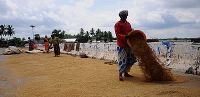 நெல் ஈரப்பதம்: ஆய்வு செய்ய தமிழ்நாடு வருகிறது மத்திய குழு 