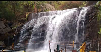 சென்னைக்கு அருகே நீர்வீழ்ச்சி: மீண்டும் திறக்கப்பட்டதால் மக்கள் மகிழ்ச்சி