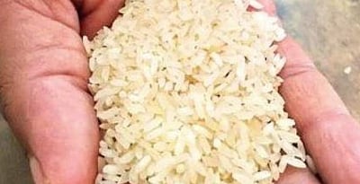 உ.பி.யில் 14 கோடி பேர் இலவச ரேஷன் பெறுகிறார்கள்: அமைச்சர் லக்ஷ்மிநாராயண் 