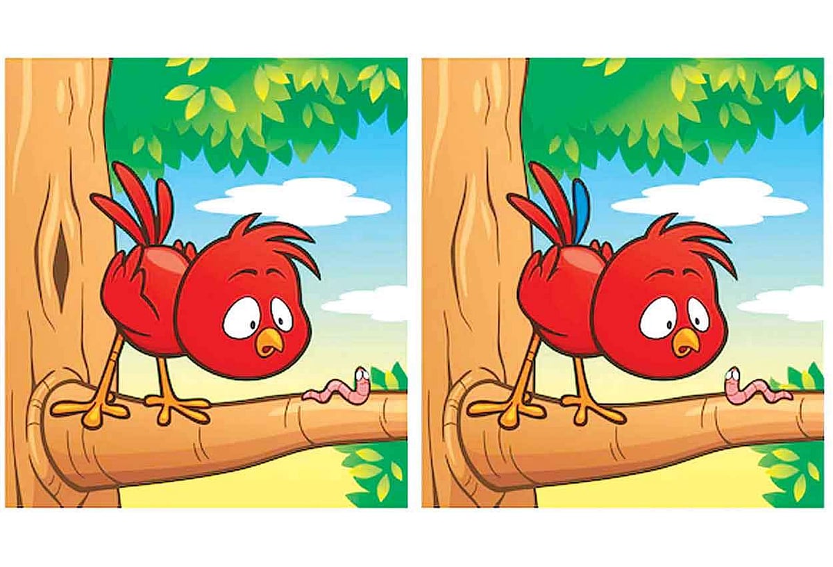 கண்டுபிடி  கண்ணே!