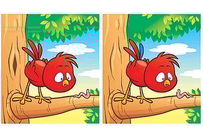 கண்டுபிடி  கண்ணே!