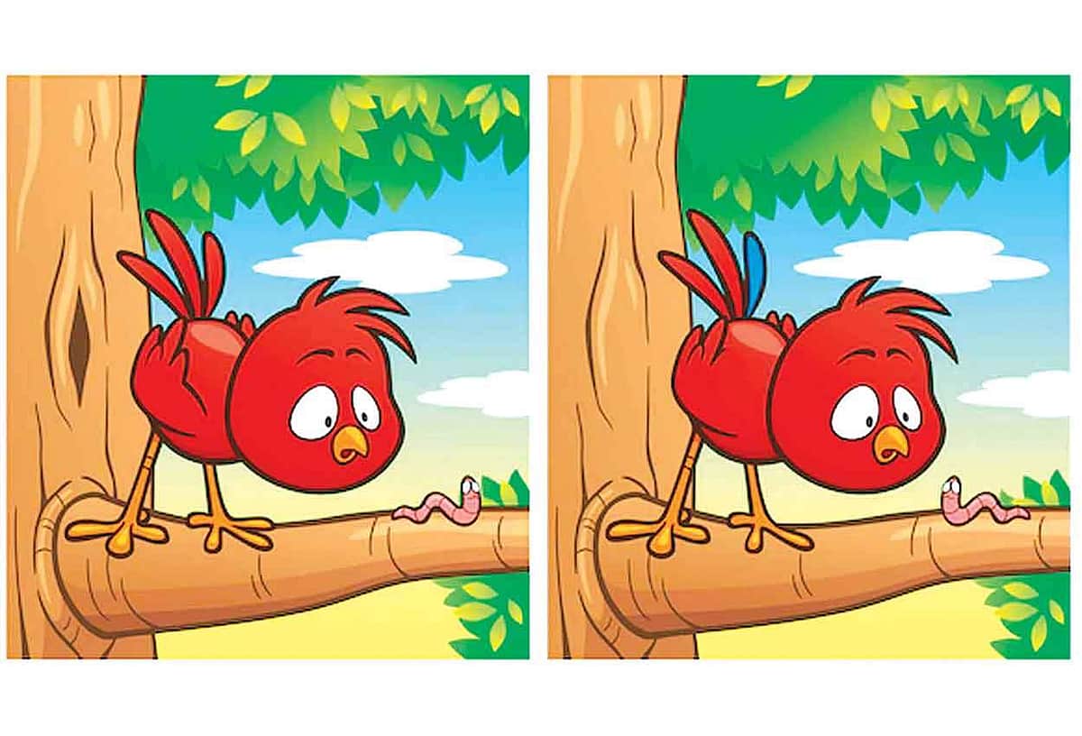 கண்டுபிடி கண்ணே!