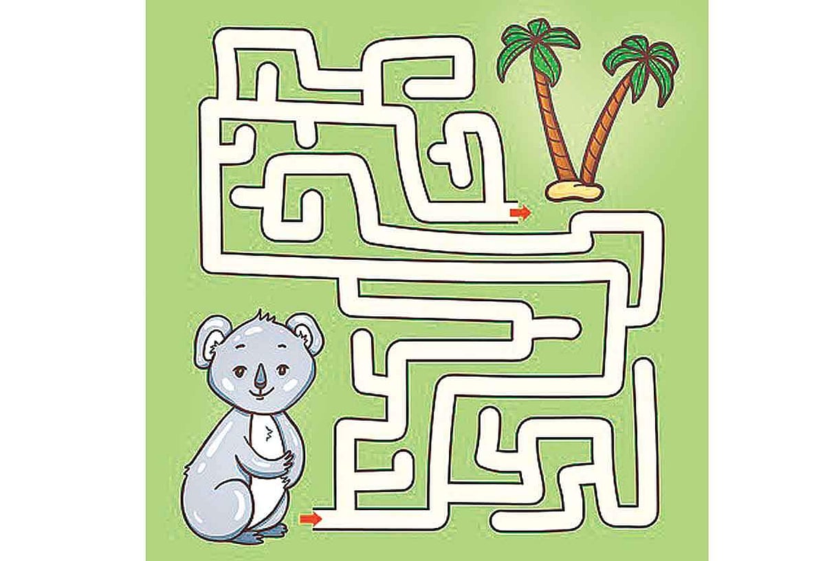 வழி காட்டுங்கள்