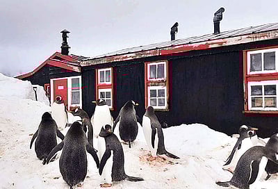 தென் துருவத்தில் தபால் நிலையம்..