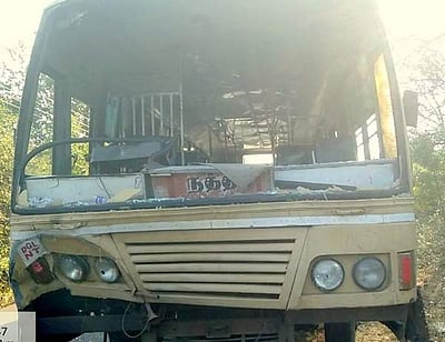 காட்டெருமை மோதி அரசுப் பேருந்து சேதம்!