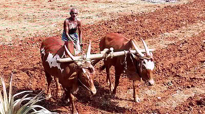 அறிவியல், அன்றும்.. இன்றும்..!