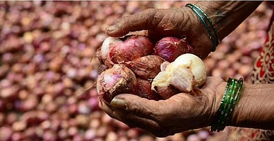 வெங்காய விலை வீழ்ச்சி ஏன்? 2 லட்சம் விவசாயிகள் பாதிப்பு