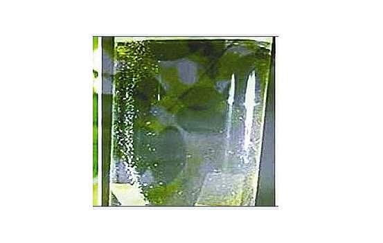 பசுமை ஹைட்ரஜன் எனும் ஆற்றல் ஆதாரம்