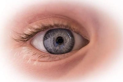 சுகம் தரும் சித்த மருத்துவம்: கல்லீரலைக் காத்து, கண்பார்வையை அதிகரிக்குமா ‘கொடுப்பை’...?  