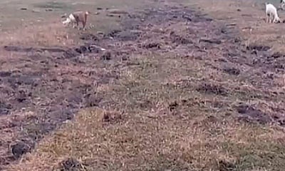 2 கி.மீ. ரயில் தண்டவாளம் மாயம்! அதிகாரிகள் அதிர்ச்சி