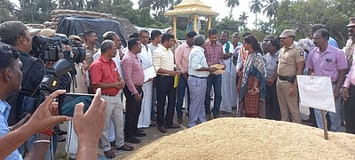 நீடாமங்கலம் பகுதியில் நெல் ஈரப்பதம் குறித்து மத்தியக்குழுவினர் ஆய்வு!